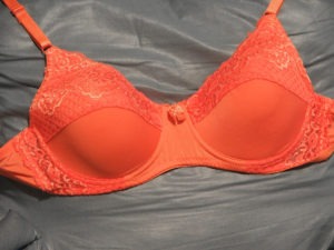 Quality Bras And Brassieres